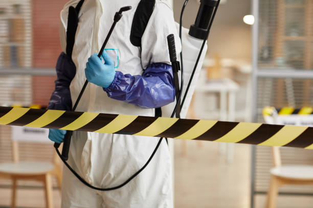 Professional Sewage Cleanup technician working in Orange, TX